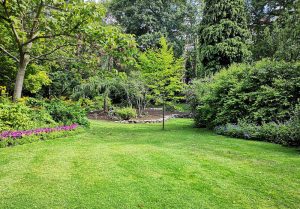 Optimiser l'expérience du jardin à Chatillon-sur-Lison