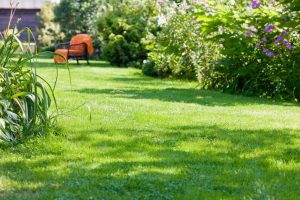 travaux jardin et paysage Chatillon-sur-Lison